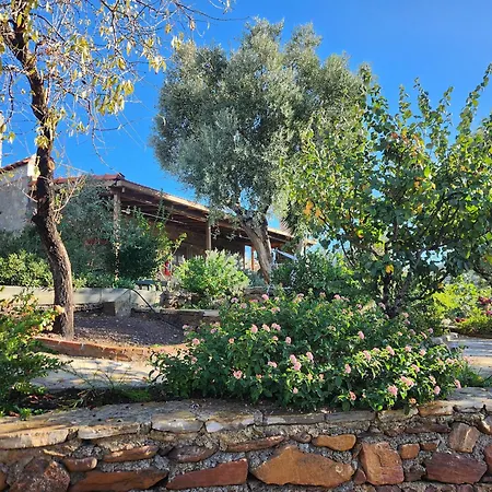 Apartmán Eleia - Olive Garden & Stone House