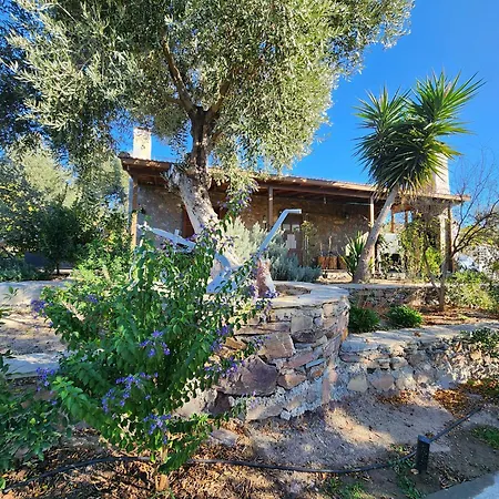 Eleia - Olive Garden & Stone House Apartmán Bodrum