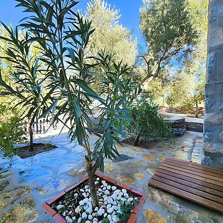 Eleia - Olive Garden & Stone House * Bodrum