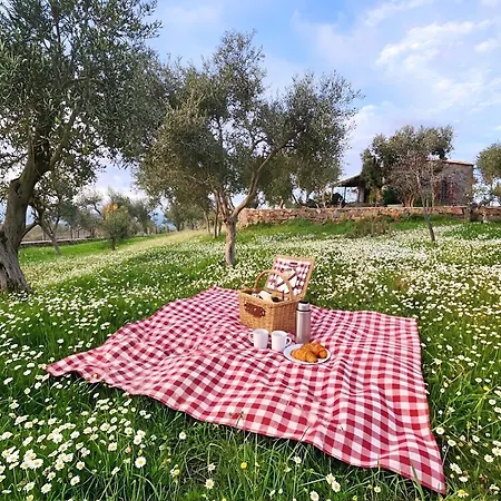 Eleia - Olive Garden & Stone House Apartmán