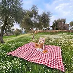 Eleia - Olive Garden & Stone House Apartament