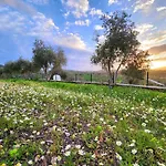 Eleia - Olive Garden & Stone House Apartament