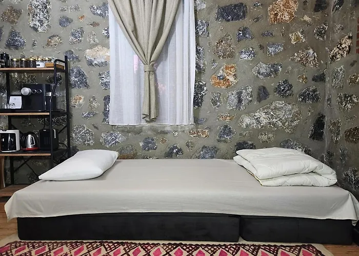 Eleia - Olive Garden & Stone House Apartament