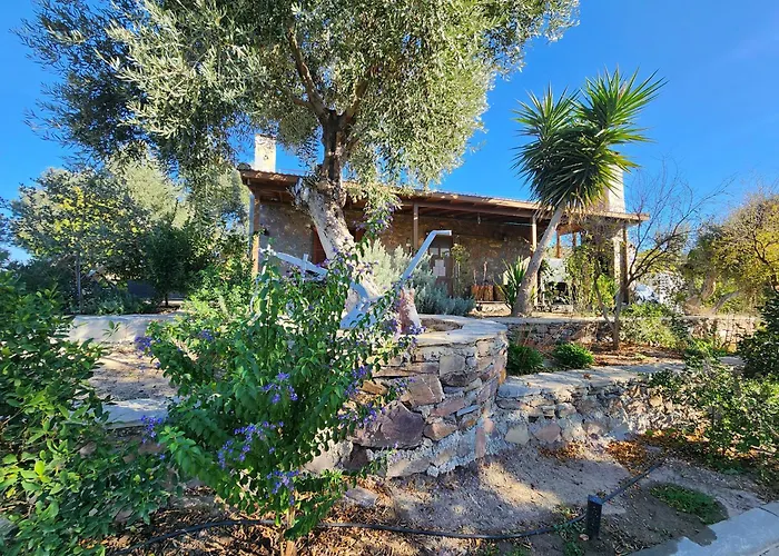 Eleia - Olive Garden & Stone House Apartament Bodrum
