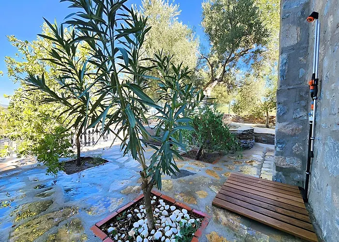 Eleia - Olive Garden & Stone House * Bodrum