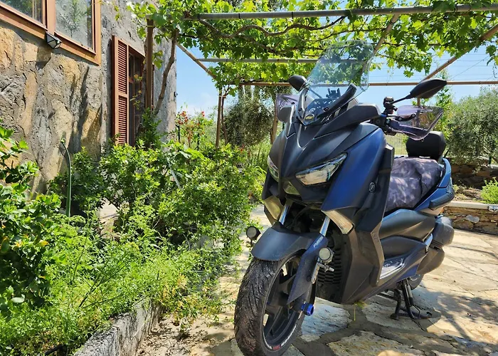 Eleia - Olive Garden & Stone House Bodrum
