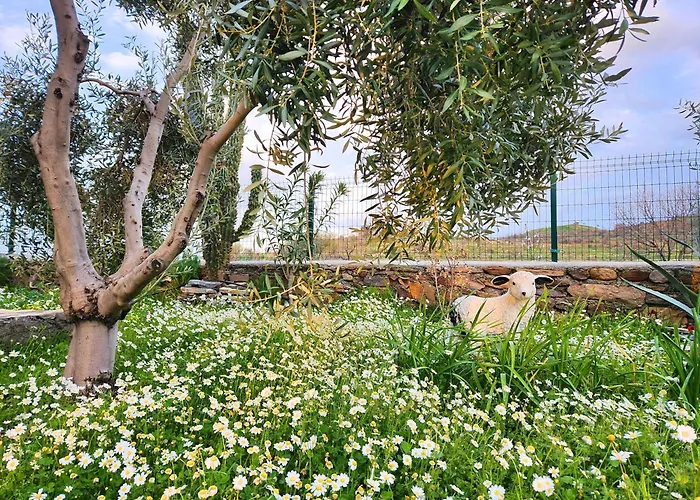 Eleia - Olive Garden & Stone House Apartman Bodrum