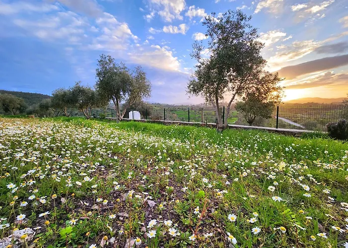 Eleia - Olive Garden & Stone House Apartman