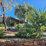 דירה Eleia - Olive Garden & Stone House