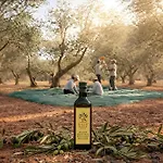 Eleia - Olive Garden & Stone House דירה בודרום