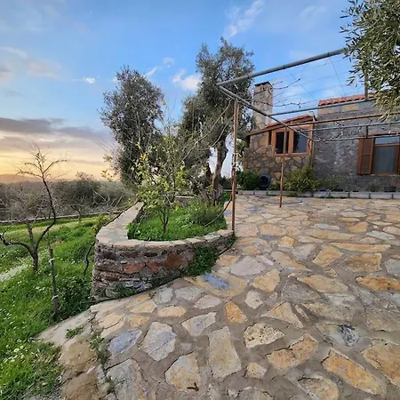 شقة Eleia - Olive Garden & Stone House