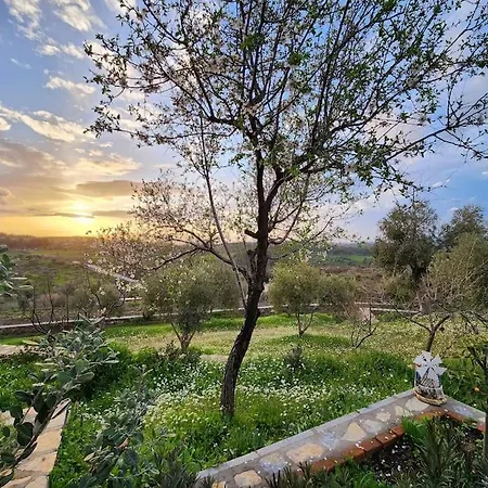 Eleia - Olive Garden & Stone House بودروم