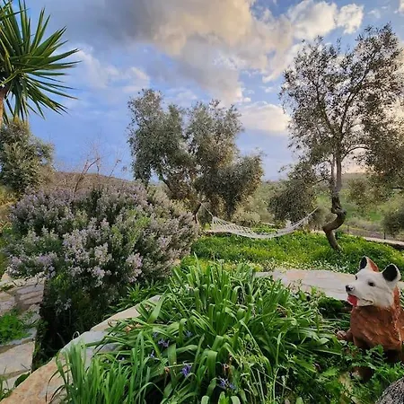 Eleia - Olive Garden & Stone House شقة