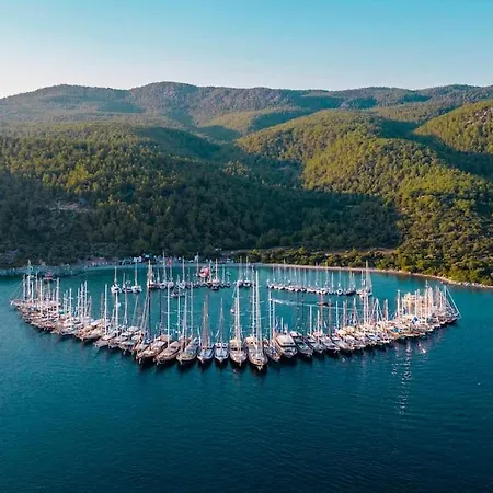 شقة Eleia - Olive Garden & Stone House