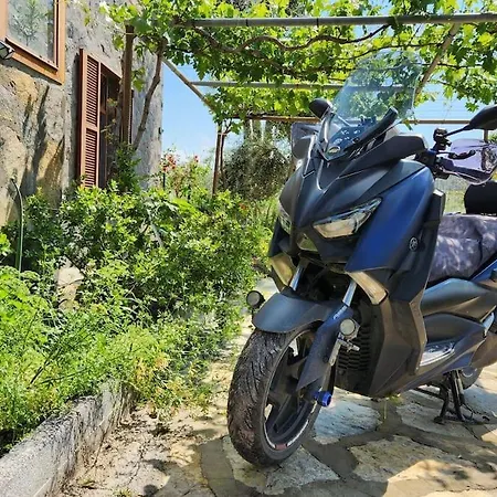 Eleia - Olive Garden & Stone House شقة *