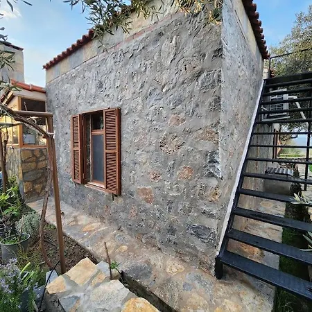 شقة Eleia - Olive Garden & Stone House *