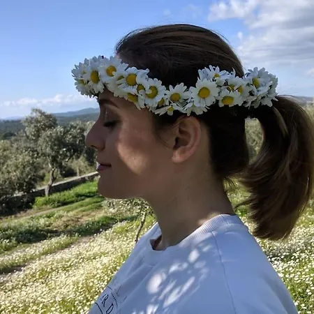 شقة Eleia - Olive Garden & Stone House