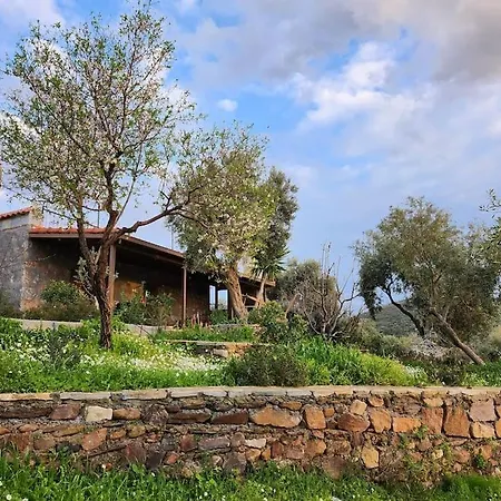 Eleia - Olive Garden & Stone House * بودروم