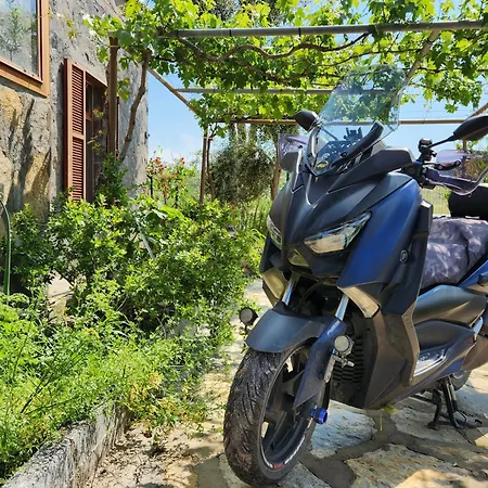 Eleia - Olive Garden & Stone House Bodrum